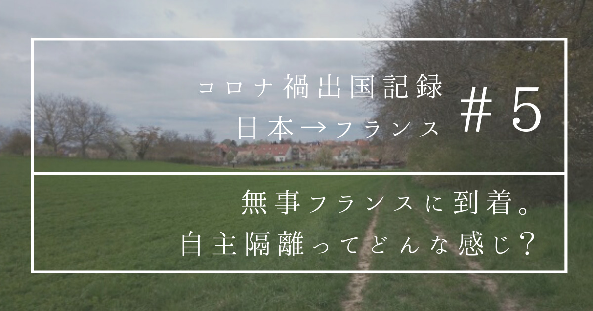 フランス到着後 7日間の自主隔離とpcr検査 コロナ禍での出国 ミミさんのくらし